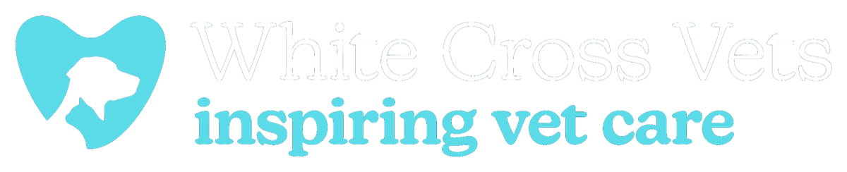 White Cross Vets — inspiring vet care